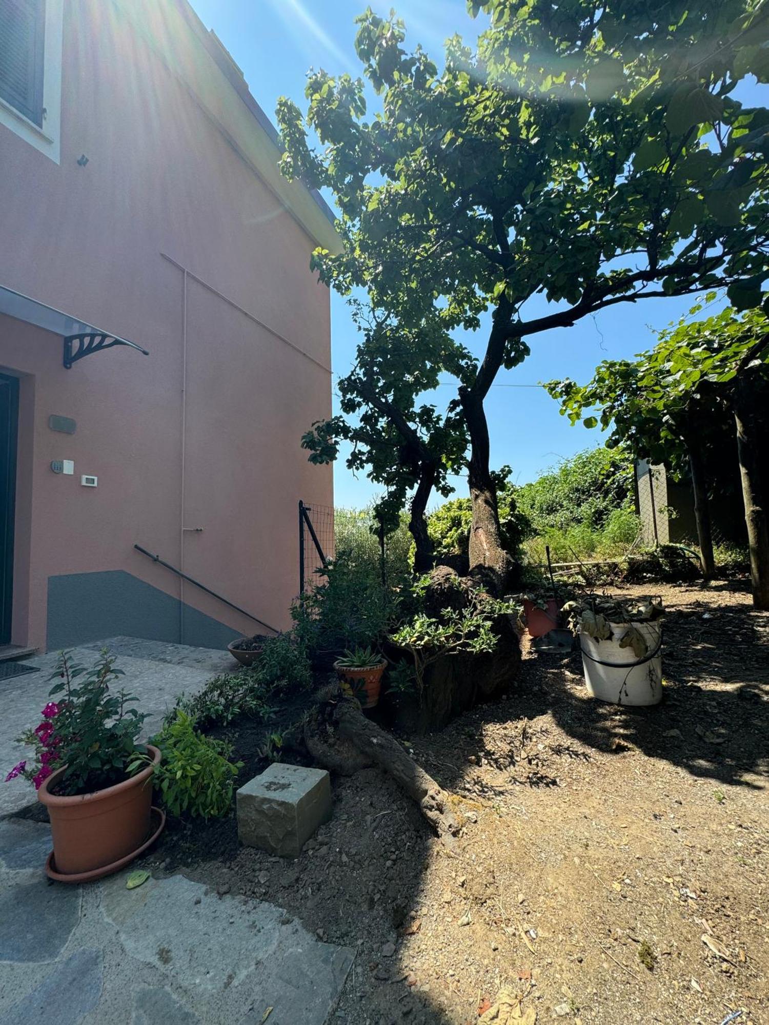Ca' Dii Buersa - Homy 5 Terre Apartamento Volastra Exterior foto